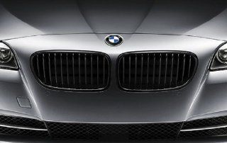 BMW 51 71 2 165 539 Performance Black Kidney Grille   Left Automotive