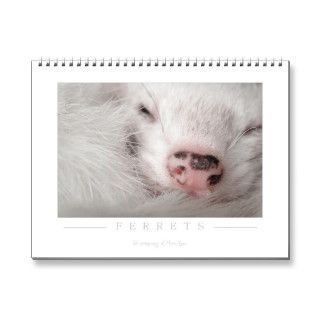 Ferret Calendar   2nd Edition