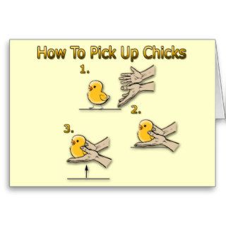 How To Pick Up Chicks Funny Directions Card