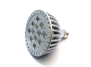 iLLumi Projections LED 12W PAR38 E26 Accent Lamp Bulb Spot Lamp AC DC 24 Volt   36 Volt wide voltage range PAR38 Halogen Replacement 12x 1watt cluster   Led Household Light Bulbs  