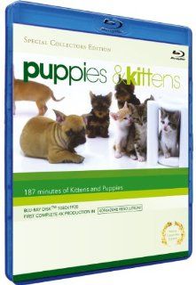 Puppies & Kittens [Blu ray] Timm Hendrik Hogerzeil Movies & TV
