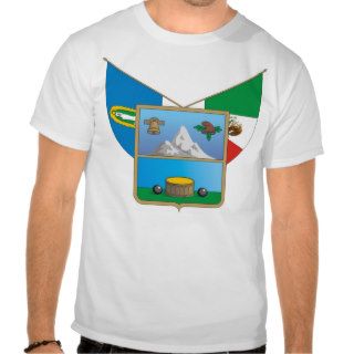 Escudo Hidalgo Shirts