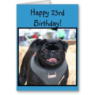 Happy Birthday Pug greeting card