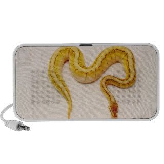 Letter "M" Yellow Ball Python Laptop Speakers