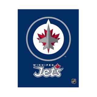 Artissimo Winnipeg Jets 18X24 Logo Canvas Art (ARTHKYWINL18)