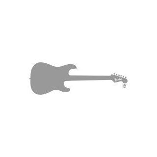 Fender® #551Fine Tip Shell Picks   72 Thin Picks Musical Instruments