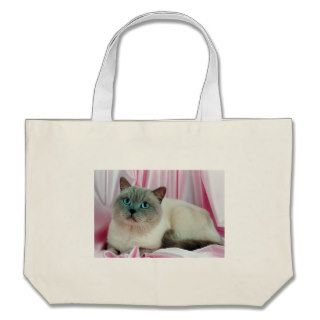 Cat Looking Bag