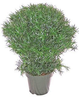 30" Artificial Indoor  Outdoor Podocarpus Ball Topiary   Artificial Shrubs