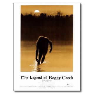 "The Legend of Boggy Creek"  Postcard