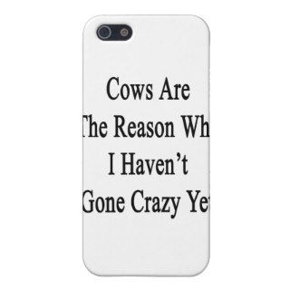 Cows Are The Reason Why I Haven't Gone Crazy Yet iPhone 5 Cover