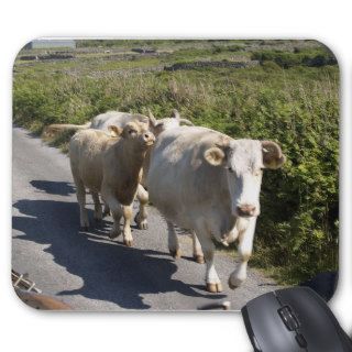 Rush Hour Mouse Pads