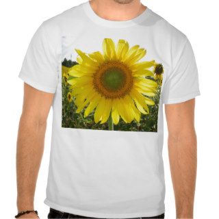 Italian Sunflower Tshirt
