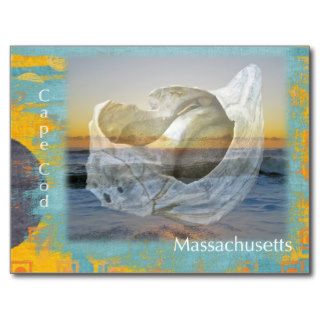 Seashell & Surf   Cape Cod Massachusetts Postcards