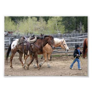 Little Cowboy Leading Horses 5x7 Photographic Print