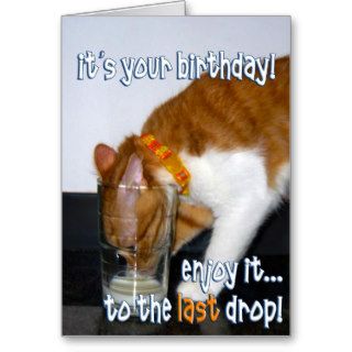 Happy Birthday   Funny Cat Drinking Glass Cards