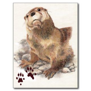 Cute River Otter, Animal and Tracks, Natue Post Card