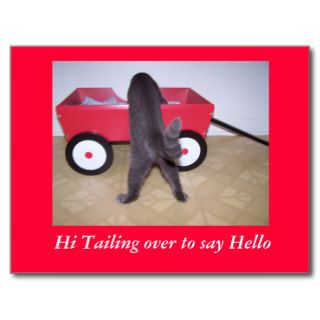 Hi Tailing over to say Hello Post Card