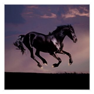 Horses Dance silhouette at sunset Poster