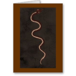 Australian Aboriginal Desert Snake Art Greeting Cards