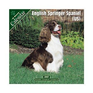 English Springer Spaniel (US) 2007 Wall Calendar 9781846620485 Books