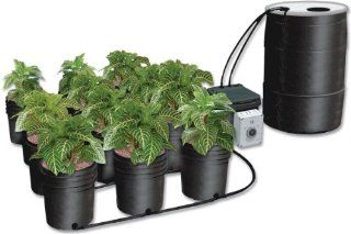 C.A.P. Custom Automated Products Ebb and Gro 12 Grow Site System Complete w/ 55 gallon reservoir   NEW Version EBB 12  Lawn And Garden Hand Tools  Patio, Lawn & Garden