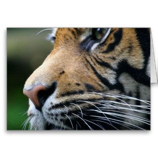 Tarjeta de felicitación de imagen del tigre de