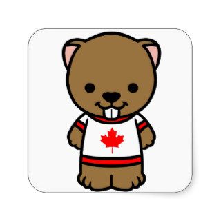 Canadian Beaver Square Sticker