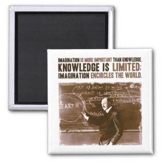 Imagination is more important than knowledge refrigerator magnet