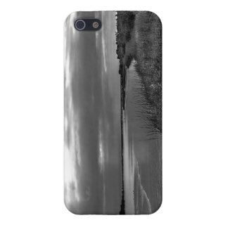 Sterling Silver Landscape iPhone 5 Cases