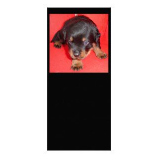 And they call it "Puppy Love" Personalized Rack Card