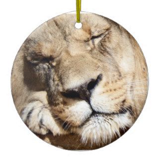 Sleeping Lion Christmas Ornament