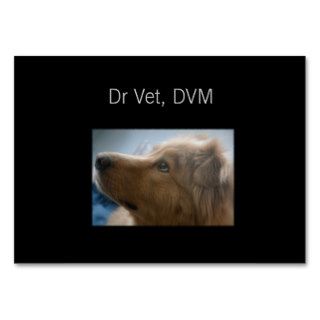 Dr Vet, DVM Business Card Template