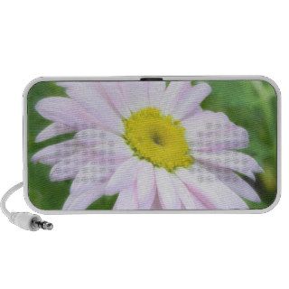 Pale Pink Painted Daisy iPhone Speaker