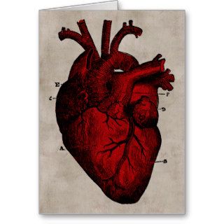 Human Heart Card