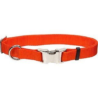 Coastal Pet Metal Buckle Nylon Adjustable Personalized Dog Collar in Orange, 5/8" Width 