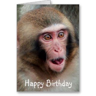 Japanese Macaque Monkey Birthday Card