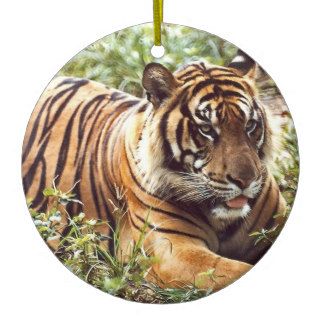 Tiger Holiday Ornament