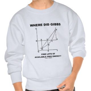 Where Did Gibbs Find Lots Of Available Free Energy Pull Over Sweatshirt