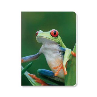 ECOeverywhere Ribbit Ribbit Journal, 160 Pages, 7.625 x 5.625 Inches, Multicolored (jr11427)  Hardcover Executive Notebooks 