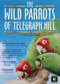 The Wild Parrots of Telegraph Hill Mark Bittner, Judy Irving, Chris Michie Movies & TV