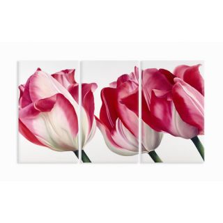 Home Décor Fresh Tulips Triptych Wall Art in Pink