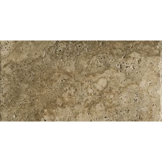Marazzi Archaeology 12 x 24 ColorBody Porcelain in Troy