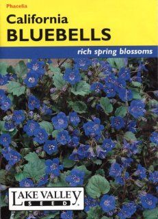 Lake Valley 669 Bluebells California Seed Packet  Flowering Plants  Patio, Lawn & Garden