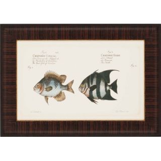 Paragon Antique Fish by Bloch Waterfront Art   19 x 27 (Set of 4)