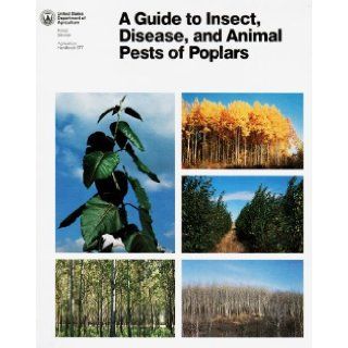 A Guide to Insect, Disease, and Animal Pests of Poplars (Agriculture Handbook, 677) Michael E. Ostry, Louis F. Wilson, Harold S. McNabb, Lincoln M. Moore Books