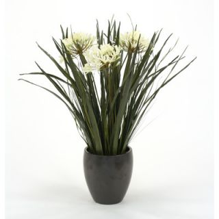 Distinctive Designs Artificial Agapanthus with Blades and Grass in