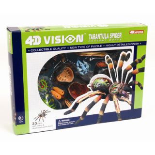 Tedco Toys 4D Vision Tarantular Spider Anatomy Model