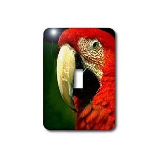 3dRose LLC lsp_685_1 Green Winged Macaw, Single Toggle Switch   Switch Plates  