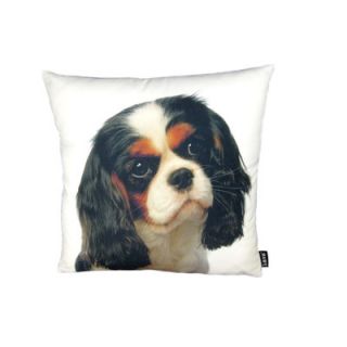 lava Cavalier King James Pillow