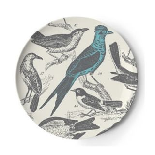 Thomas Paul Ornithology Dinner Plate (Set of 4)